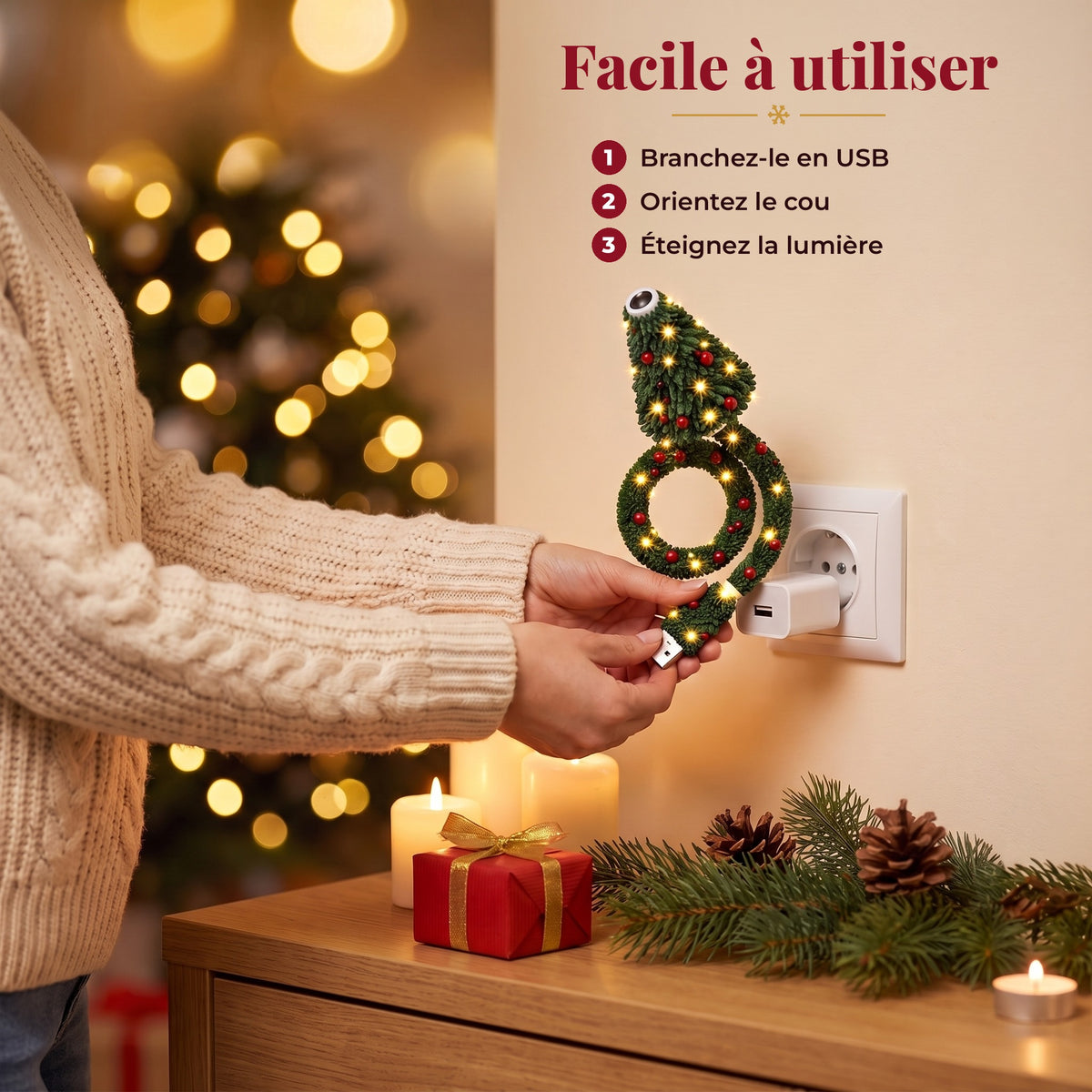 Branchement du projecteur sur un chargeur USB mural